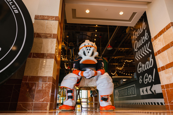 Wild Wing sitting in concentration 